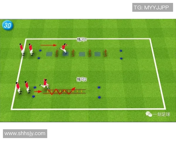 揭秘足球球星高效训练动作全面提升速度力量与技巧 揭秘足球球星高效训练动作全面提升速度力量与技巧